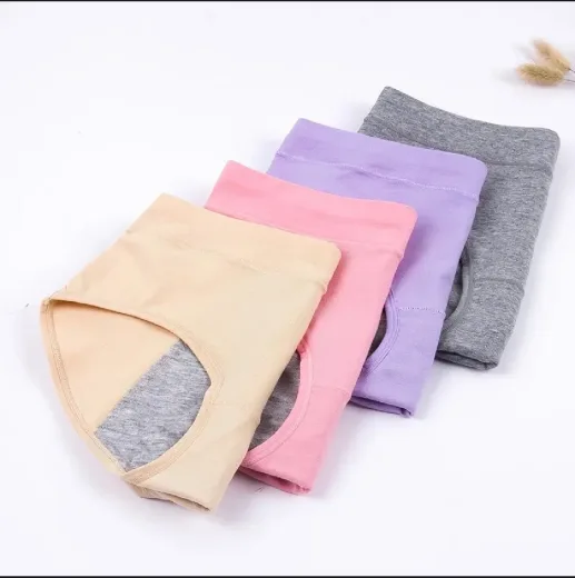 Pack Of 4 Pcs Leak Proof Menstrual Period Panties For women